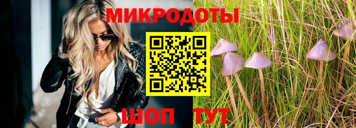 Псилоцибиновые грибы прущие грибы Волжский